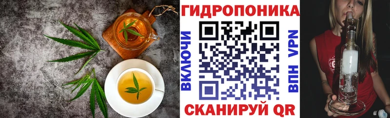 Canna-Cookies марихуана гидра маркетплейс Краснознаменск