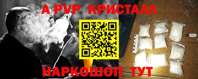 стаф Донецк