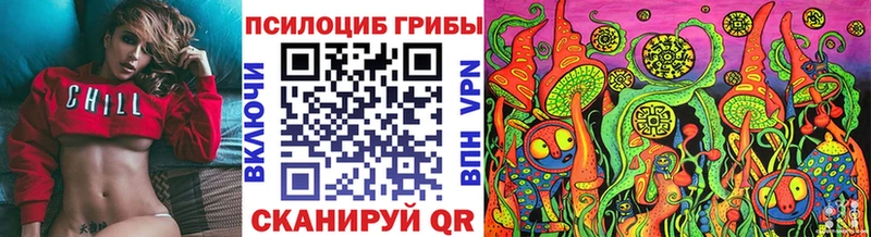 blacksprut ТОР  купить   Краснознаменск  Псилоцибиновые грибы мухоморы 