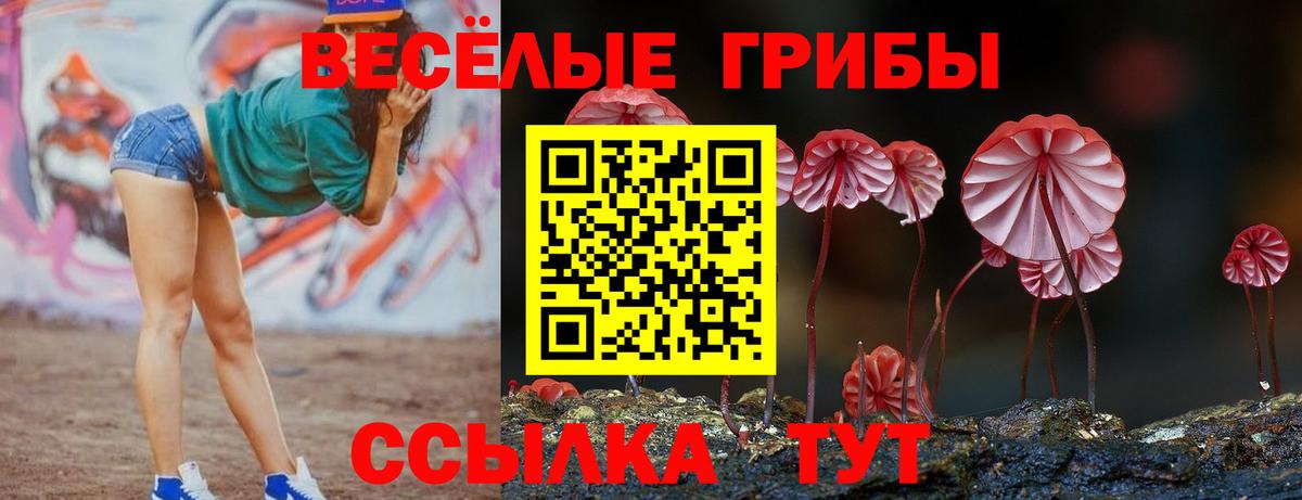 Псилоцибиновые грибы мухоморы Краснознаменск