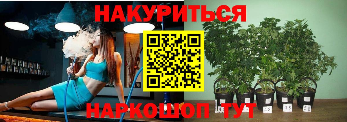 Канабис тримм  Вход с VPN  Краснознаменск  Бошки Шишки THC 21%  Канабис White Widow  МАРИХУАНА VHQ 